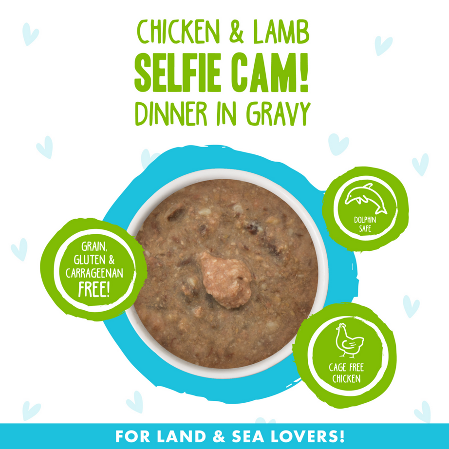 Weruva BFF Oh My Gravy Selfie Cam Grain Free Chicken & Lamb in Gravy Canned Cat Food