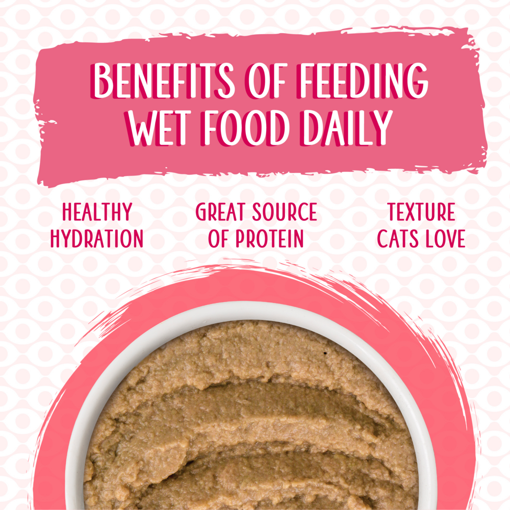 Weruva Slide N' Serve Grain Free Name 'Dat Tuna Tuna Dinner Wet Cat Food Pouch