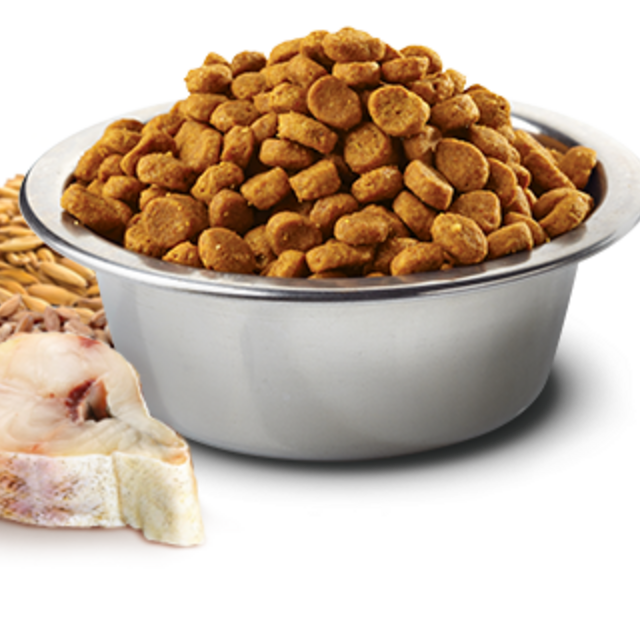 Farmina Ocean N&D Natural & Delicious Ancestral Grain Mini Adult Cod, Spelt, Oats & Orange Dry Dog Food