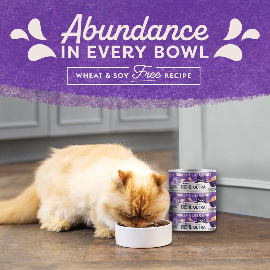 Natural Balance Original Ultra Wet Cat Food, Chicken & Liver Recipe