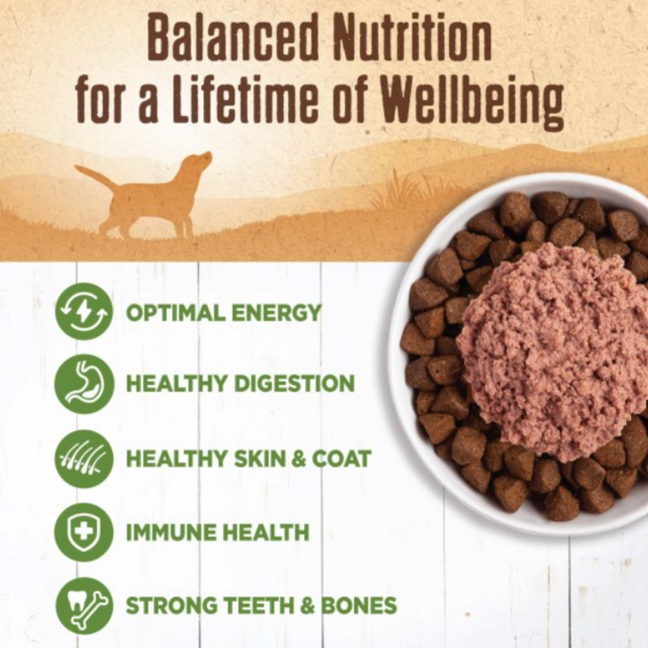 Wellness Natural Grain Free 95%  Lamb Recipe Adult Wet Canned Dog Food