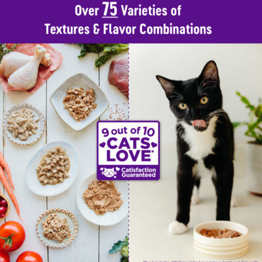 Wellness Complete Health Natural Grain Free Turkey and Salmon Pate Wet Canned Cat Food