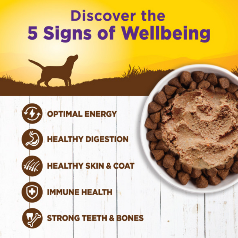 Wellness Complete Health Natural Duck and Sweet Potato Recipe Wet Canned Dog Food