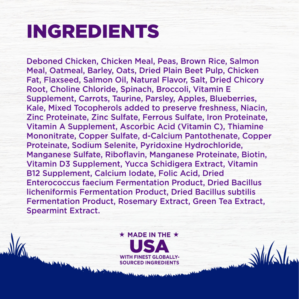 Wellness Complete Health Natural Large Breed Puppy Chicken, Brown Rice and Salmon Recipe Dry Dog Food