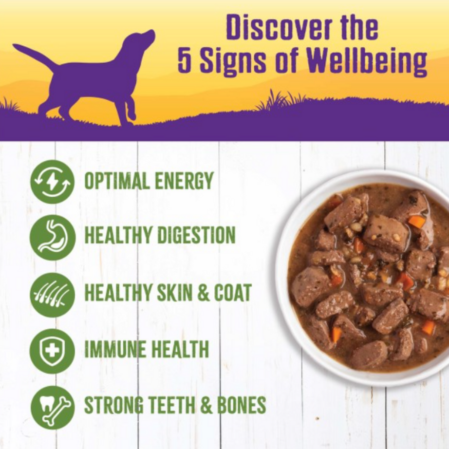 Wellness Natural Lamb and Beef Stew with Brown Rice and Apples Wet Canned Dog Food