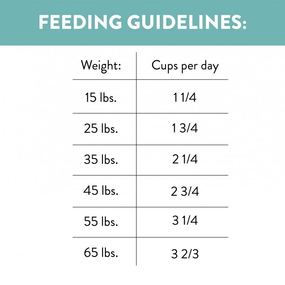 Nutro Ultra Senior Dry Dog Food