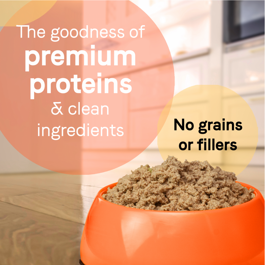 Canidae Pure Wet Dog Food, Lamb, Turkey & Chicken Recipe