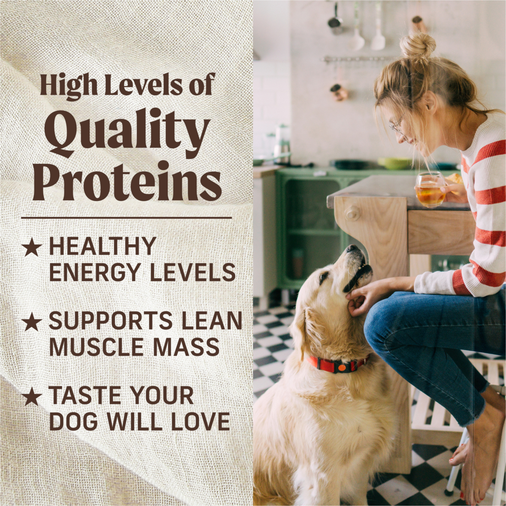 Merrick Grain Free Wet Dog Food, Premium And Wholesome Gluten Free Canned Adult Dog Food, Cowboy Cookout