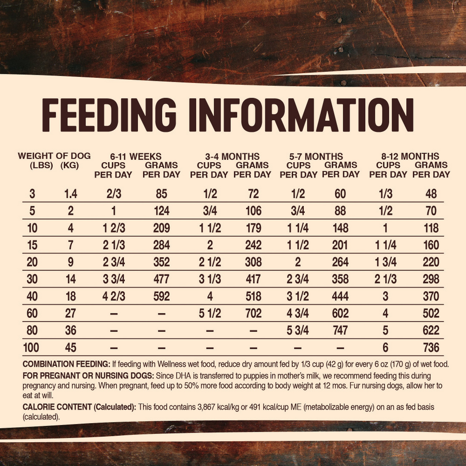 Wellness Core Grain Free Natural Puppy Health Chicken & Turkey Recipe Dry Dog Food