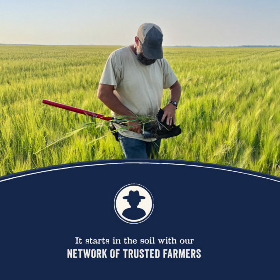 Canidae Pure Farm To Bowl Wild-Caught Salmon & Sweet Potato Recipe Dog Food