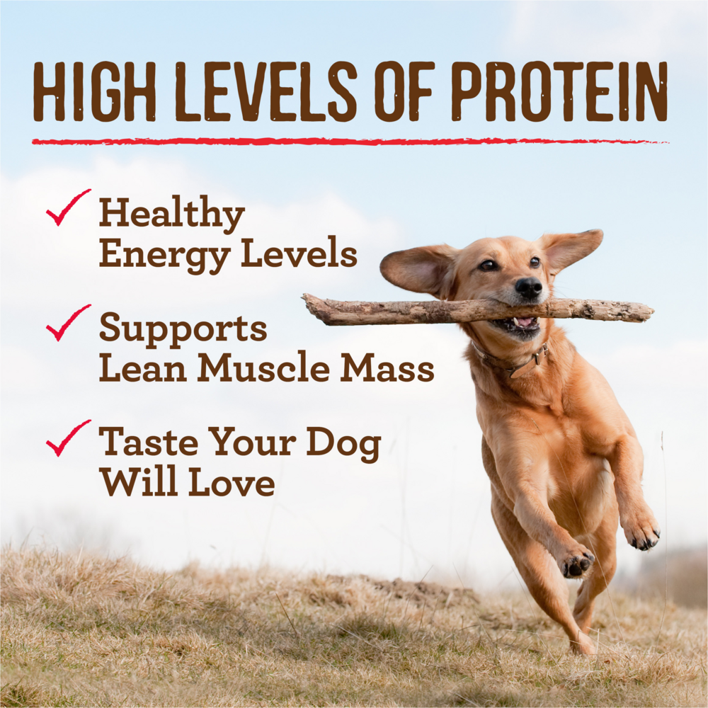 Merrick Chunky Grain Free Premium And Wholesome Canned Dog Food, Real Meat Colossal Chicken Dinner In Gravy