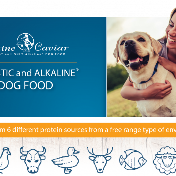 Canine Caviar Grain Free Puppy Holistic Entree Dry Dog Food