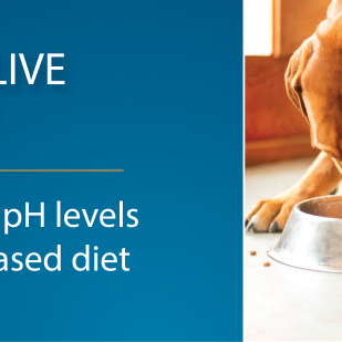 Canine Caviar Grain Free Puppy Holistic Entree Dry Dog Food