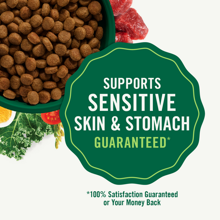 Nutro Wholesome Essentials Adult Farm-Raised Chicken, Brown Rice & Sweet Potato Dry Dog Food