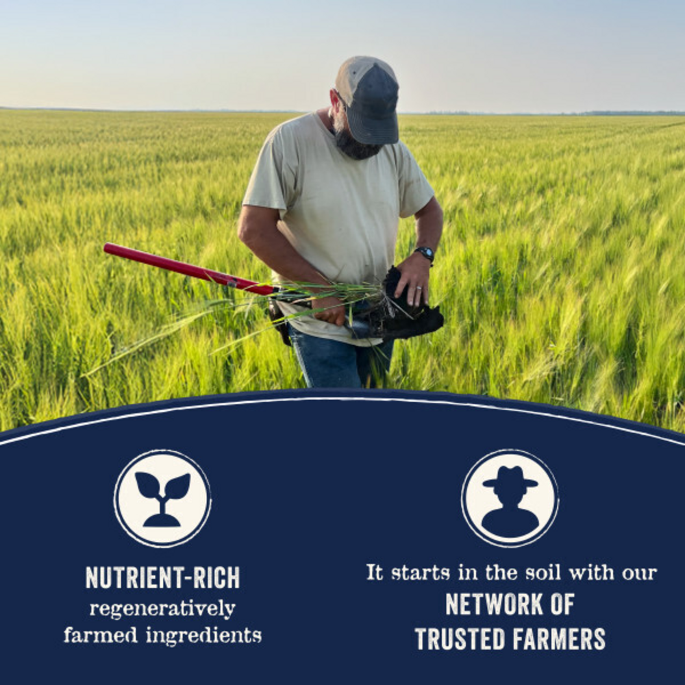 Canidae Pure Farm To Bowl Senior Free-Range Chicken, Sweet Potato & Garbanzo Bean Recipe Dog Food