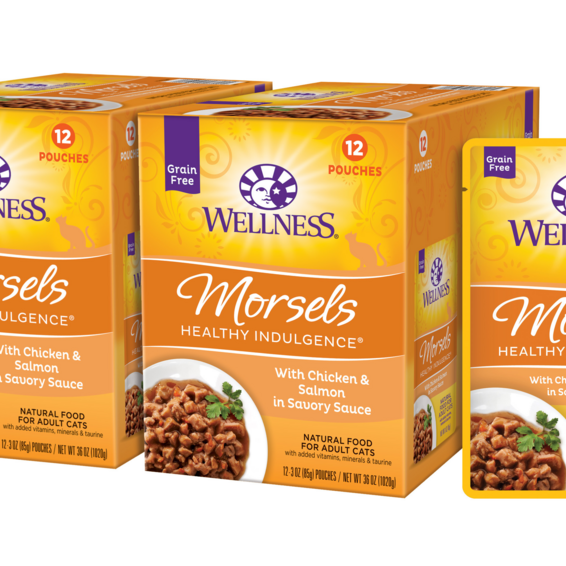 Wellness Healthy Indulgence Natural Grain Free Morsels with Chicken and Salmon in Savory Sauce Cat Food Pouch