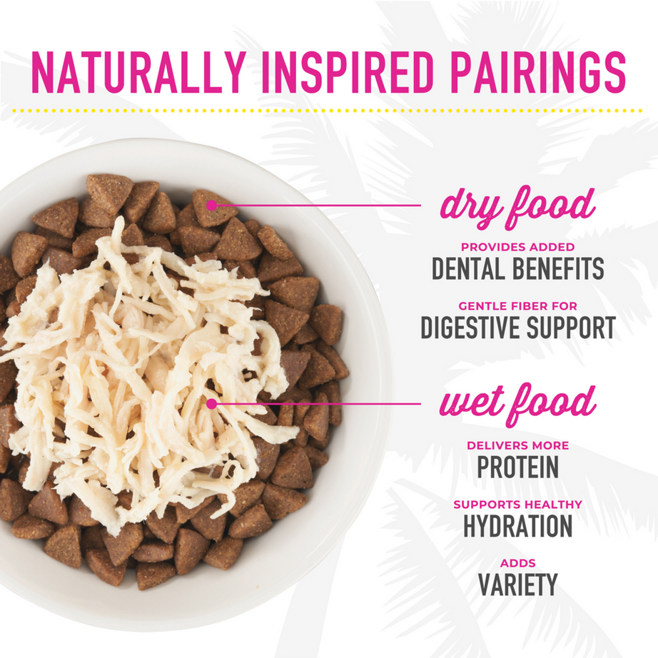 Tiki Cat Friends Grain Free Tuna with Pumpkin Canned Cat Food