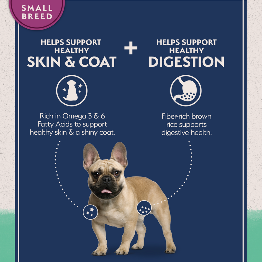 Natural Balance Limited Ingredient Grain Free Dry Dog Food for Small Breeds, Chicken & Sweet Potato Recipe