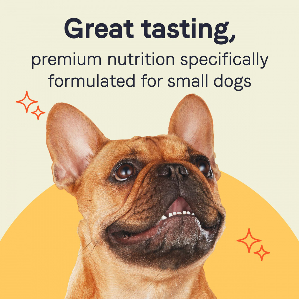 Canidae Pure Petite Small Breed Cup Minced with Beef & Carrots Wet Dog Food,