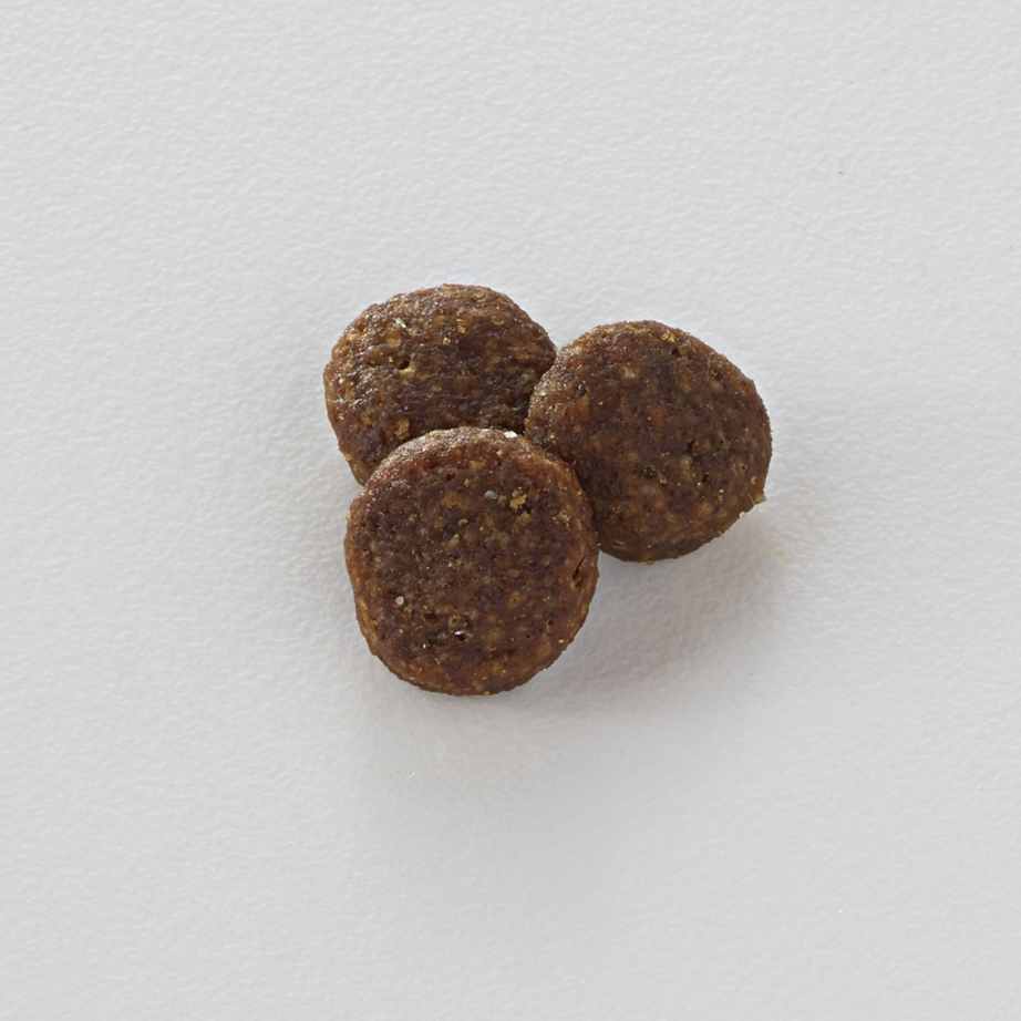 Nutro Limited Ingredient Diet Grain Free Adult Lamb and Sweet Potato Dry Dog Food