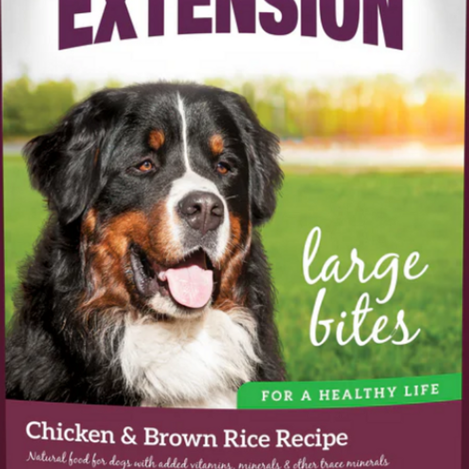 Health Extension Chicken and Brown Rice Large / Giant Breed Dry Dog Food
