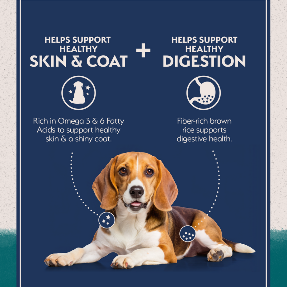 Natural Balance Limited Ingredient Chicken & Brown Rice Recipe Dry Dog Food