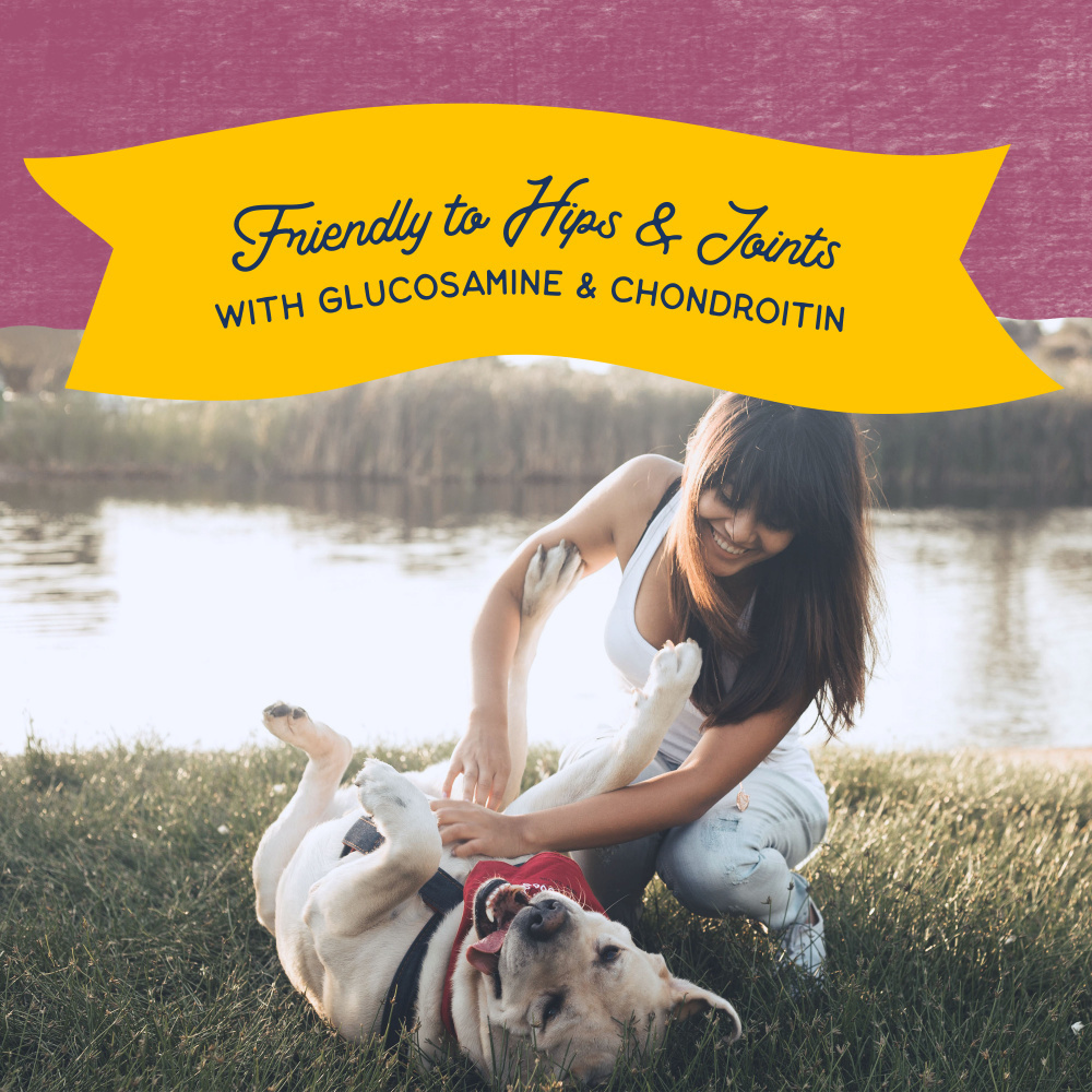 Natural Balance Rewards Jumpin' Stix Dog Treats with Real Venison