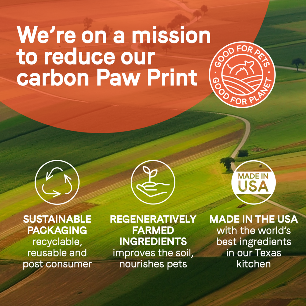 Canidae Pure Biscuits, Salmon & Sweet Potato Dog Treat