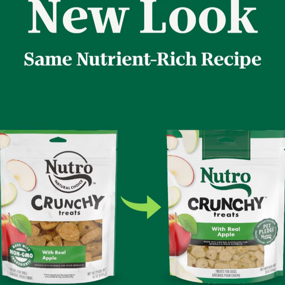 Nutro Crunchy Treats with Real Apple Dog Treats