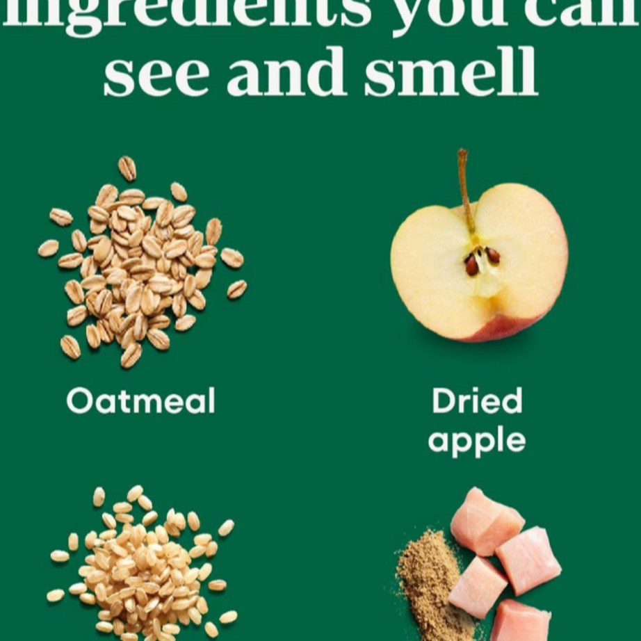 Nutro Crunchy Treats with Real Apple Dog Treats