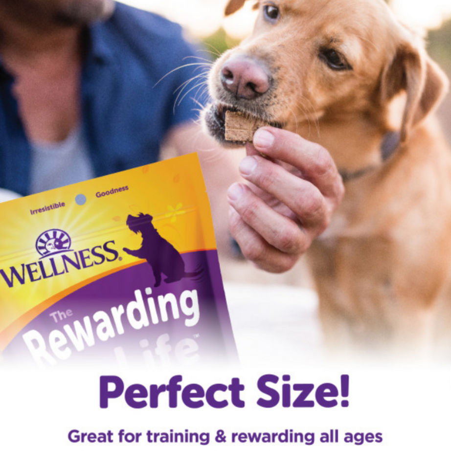 Wellness Natural Grain Free Rewarding Life Chicken & Lamb Dog Treats