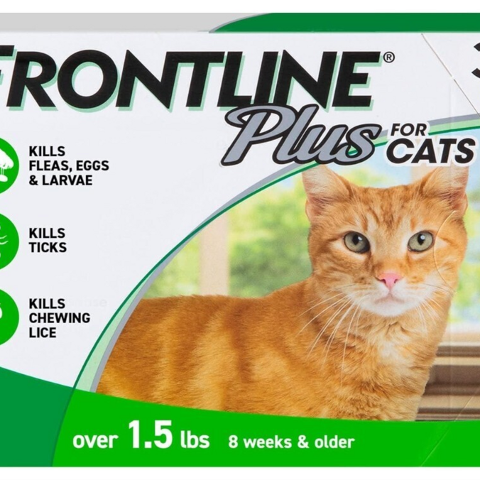 Frontline Plus for Cats
