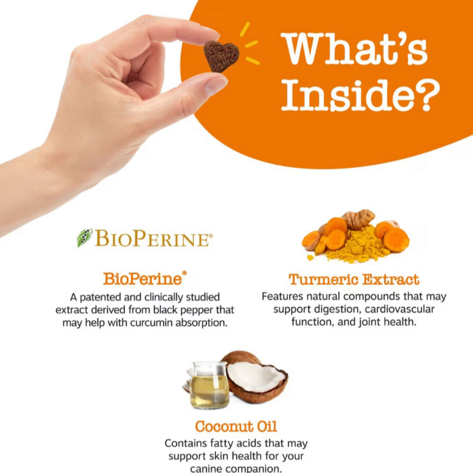 Zesty Paws Turmeric Curcumin Bites Joint & Immune Health Duck Soft Chews for Dogs