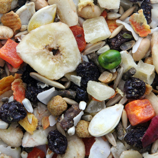 Higgins Sunburst Gourmet Treats Fruits & Veggies Large