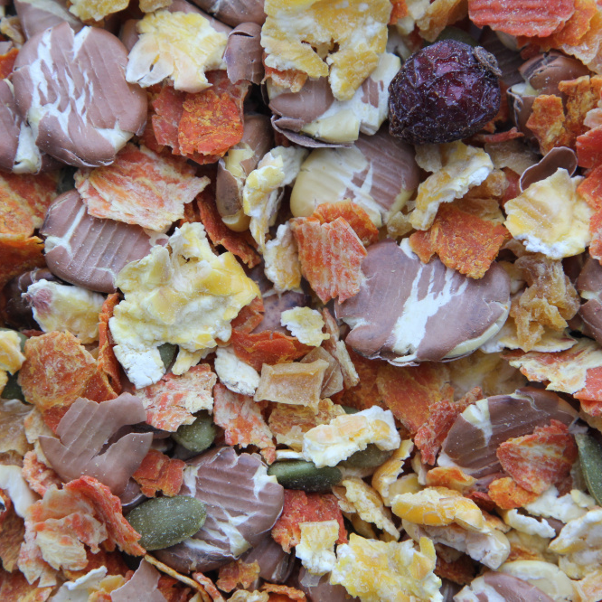 Higgins Sunburst Gourmet Treats Veggie Garden