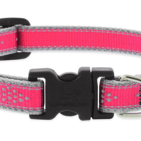 Lupine Pet - Pink Diamond