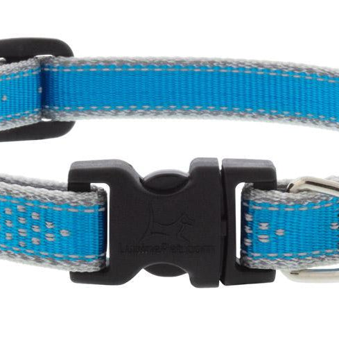 Lupine Pet - Blue Diamond