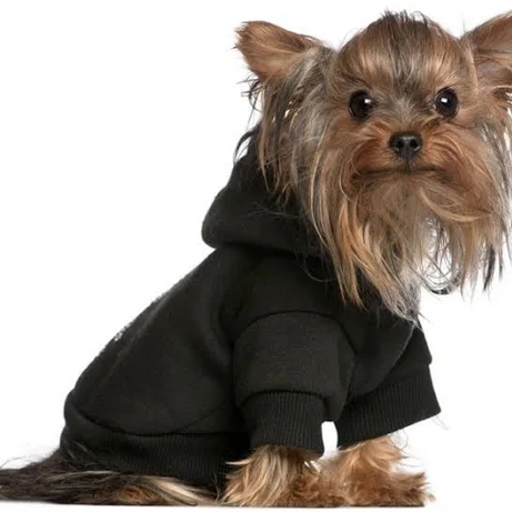 Pet Hoodie Sweatshirt (Assorted Colors)