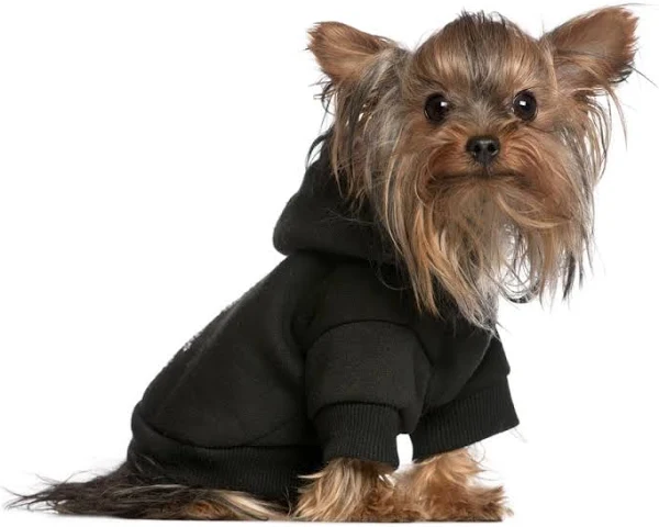 Pet Hoodie Sweatshirt (Assorted Colors)