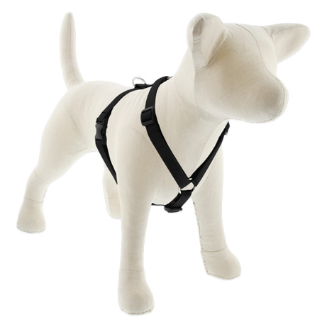 Lupine Basic Solids Roman Dog Harness 3/4" wide
