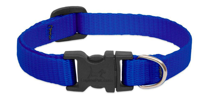 Lupine 1 inch 15-22 Martingale Training Collar
