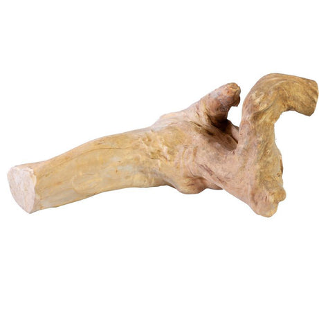 A & E Cages Java Wood Reptile Branch