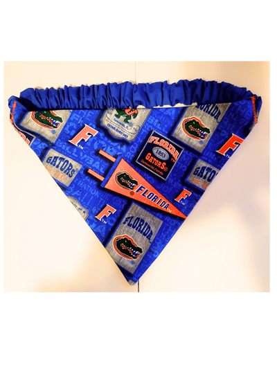 Bandana Florida Gators