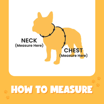 Bark Appeal Reflective Control Harness Black