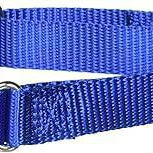 Pet Safe Martingale Collar