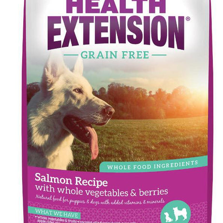 Health Extension Grain Free Salmon Dry Dog Food 23.5 lb