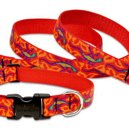 Lupine GoGo Gecko Leash