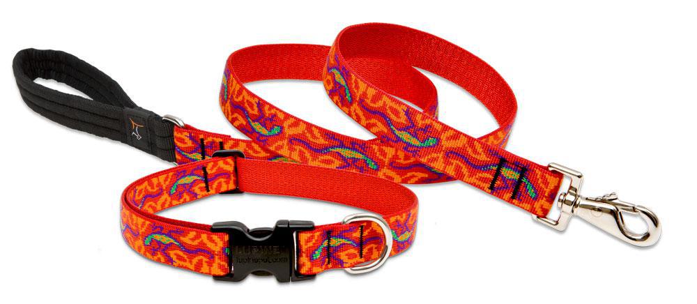 Lupine GoGo Gecko Leash
