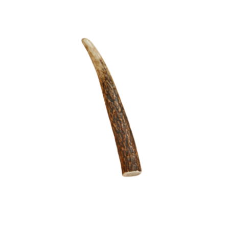 CANOPHERA DOG CHEW RED DEER ANTLER MEDIUM