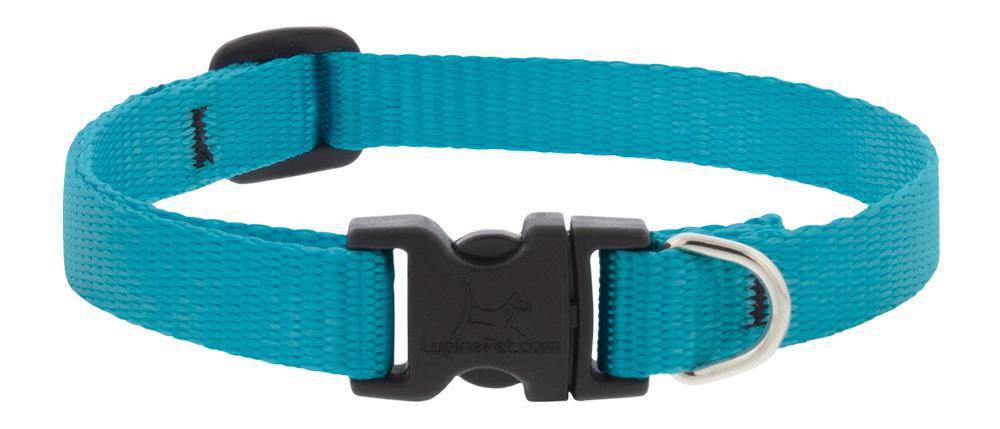 Lupine 1 inch 15-22 Martingale Training Collar